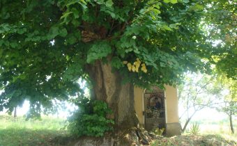 Kaplnka Panny Márie v osade Mlynište – Pružina