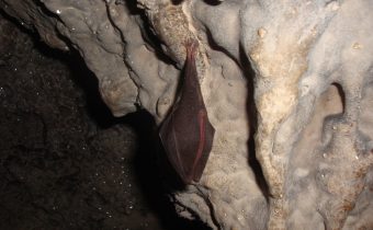 Veľká temná jaskyňa – Horný Moštenec