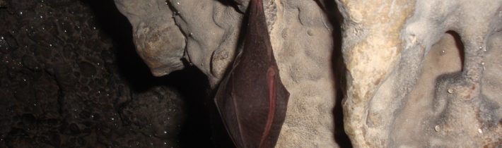 Veľká temná jaskyňa – Horný Moštenec