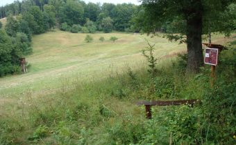 Obetisko Keltov v Prosnom – Udiča