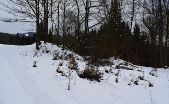 Hrádok Žilín v Papradne