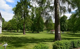 Park pri kaštieli v Orlovom – Považská Bystrica