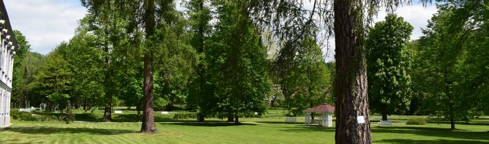 Park pri kaštieli v Orlovom – Považská Bystrica