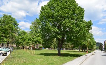 Park Ivana Krasku v Považskej Bystrici