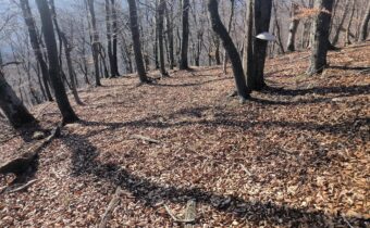 Hradisko Tupý hrádok v Dolnom Lieskove