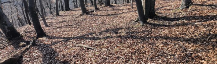 Hradisko Tupý hrádok v Dolnom Lieskove