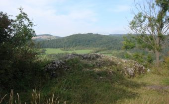 Hradisko Skala v Púchove