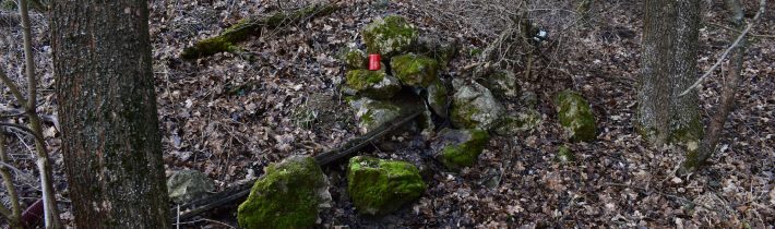 Prameň na okraji lesa – Považská Bystrica