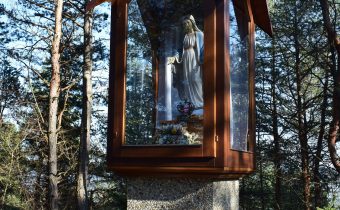 Kaplnka Panny Márie na vrchu Skala – Streženice