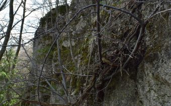 Společná skala (Kriepne) – Malé Lednice