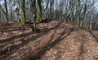 Hradisko na vrchu Hradište v Nosiciach – Púchov
