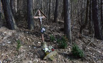 Kríž nad osadou Horný Podžiar – Papradno