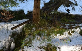 Prameň v osade U Holotvo – Papradno