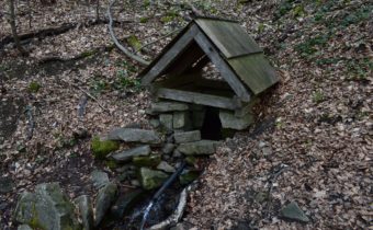 Pramene v lokalite Rybničiská – Papradno