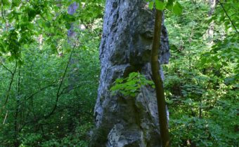 Panička – Považská Bystrica