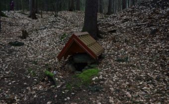 Prameň Kyselka pod Manínom v Považskej Bystrici