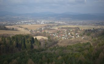 Beluša