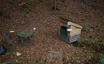 Čakanka pri kríži – Červený Kameň