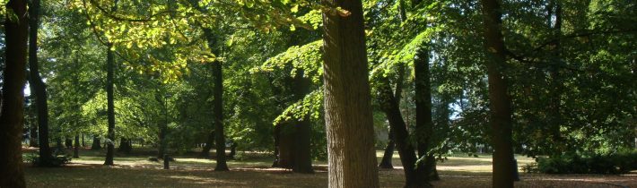 Park Jána Baltazára Magina v Dubnici nad Váhom