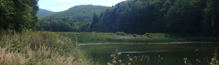 Rybníky Vystrkov v Prejte – Dubnica nad Váhom