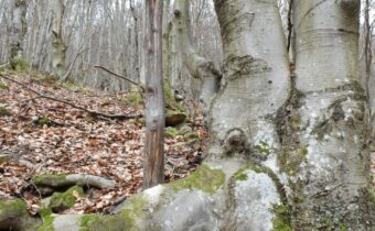 Kríž pod osadou Orgoňovci – Horná Mariková