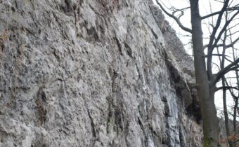 Bronzová – Pružina