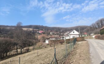 Brestovec