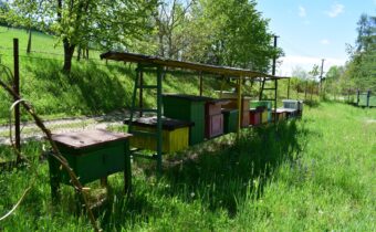 Prvý slovenský včelársky náučný chodník Jozefa Miloslava Hurbana