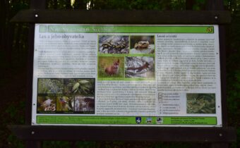 Náučný chodník Sychrov