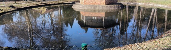 Jazierko v parku pri kaštieli v Dolnom Lieskove