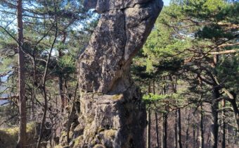 Skalný hríb na Ostrej Malenici – Dolný Lieskov