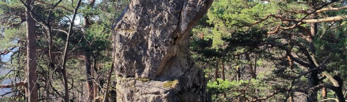 Skalný hríb na Ostrej Malenici – Dolný Lieskov