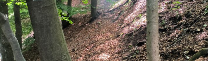 Z Plevník-Drienového cez Havraniu skalu pod Malý Manín